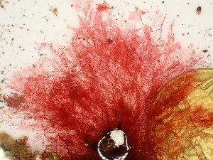  ( - GWS047912)  @11 [ ] Unspecified (default): All Rights Reserved  Unspecified Unspecified