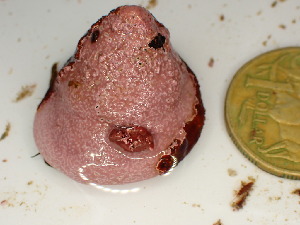  ( - GWS048070)  @11 [ ] Unspecified (default): All Rights Reserved  Unspecified Unspecified