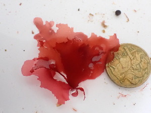  ( - GWS048079)  @11 [ ] Unspecified (default): All Rights Reserved  Unspecified Unspecified