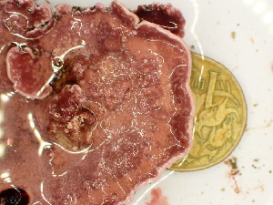  ( - GWS048097)  @11 [ ] Unspecified (default): All Rights Reserved  Unspecified Unspecified