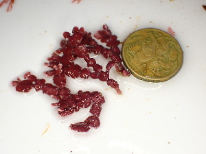  ( - GWS048106)  @11 [ ] Unspecified (default): All Rights Reserved  Unspecified Unspecified
