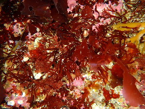  ( - GWS048467)  @11 [ ] Unspecified (default): All Rights Reserved  Unspecified Unspecified