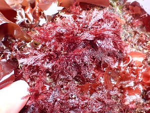  ( - GWS048695)  @11 [ ] Unspecified (default): All Rights Reserved  Unspecified Unspecified