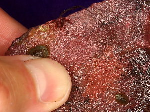  ( - GWS048725)  @11 [ ] Unspecified (default): All Rights Reserved  Unspecified Unspecified