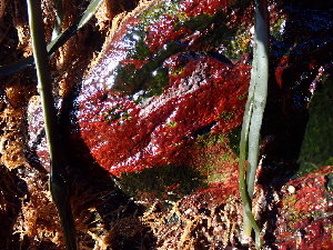  ( - GWS048972)  @11 [ ] Unspecified (default): All Rights Reserved  Unspecified Unspecified