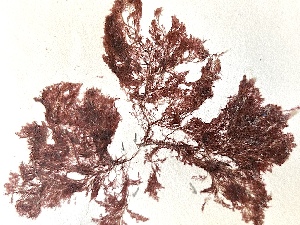  ( - GWS049092)  @11 [ ] Unspecified (default): All Rights Reserved  Unspecified Unspecified