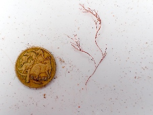  ( - GWS049984)  @11 [ ] Unspecified (default): All Rights Reserved  Unspecified Unspecified