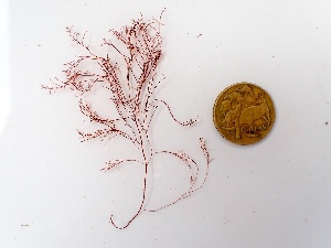  ( - GWS049986)  @11 [ ] Unspecified (default): All Rights Reserved  Unspecified Unspecified