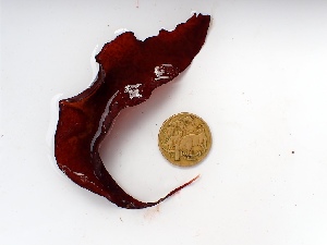  ( - GWS049988)  @11 [ ] Unspecified (default): All Rights Reserved  Unspecified Unspecified