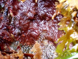  ( - GWS050009)  @11 [ ] Unspecified (default): All Rights Reserved  Unspecified Unspecified