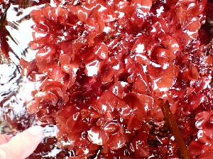  ( - GWS050017)  @11 [ ] Unspecified (default): All Rights Reserved  Unspecified Unspecified