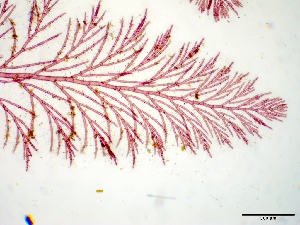  ( - GWS050028)  @11 [ ] Unspecified (default): All Rights Reserved  Unspecified Unspecified