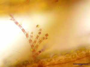  ( - GWS050038)  @11 [ ] Unspecified (default): All Rights Reserved  Unspecified Unspecified