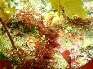  ( - GWS050309)  @11 [ ] Unspecified (default): All Rights Reserved  Unspecified Unspecified