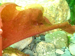  ( - GWS050313)  @11 [ ] Unspecified (default): All Rights Reserved  Unspecified Unspecified