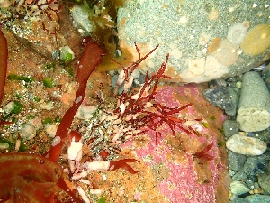  ( - GWS050315)  @11 [ ] Unspecified (default): All Rights Reserved  Unspecified Unspecified