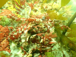  ( - GWS050329)  @11 [ ] Unspecified (default): All Rights Reserved  Unspecified Unspecified