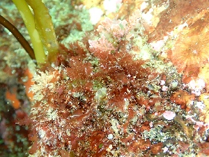  ( - GWS050331)  @11 [ ] Unspecified (default): All Rights Reserved  Unspecified Unspecified