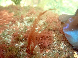  ( - GWS050344)  @11 [ ] Unspecified (default): All Rights Reserved  Unspecified Unspecified