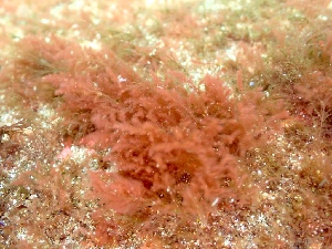  ( - GWS050345)  @11 [ ] Unspecified (default): All Rights Reserved  Unspecified Unspecified