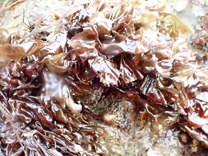  ( - GWS050363)  @11 [ ] Unspecified (default): All Rights Reserved  Unspecified Unspecified