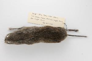  ( - ROM 118671)  @13 [ ] Copyright (2010) Unspecified Unspecified