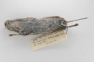  ( - ROM 118671)  @13 [ ] Copyright (2010) Unspecified Unspecified