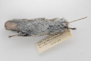  ( - ROM 118673)  @13 [ ] Copyright (2010) Unspecified Unspecified