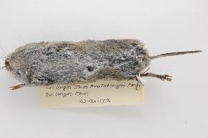  ( - ROM 118721)  @13 [ ] Copyright (2010) Unspecified Unspecified