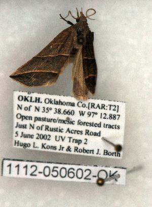  ( - 1112-050602-OK)  @12 [ ] Copyright (2008) Robert J. Borth Research Collection of Robert J. Borth