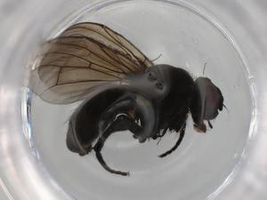  ( - BIOUG98425-G01)  @11 [ ] CreativeCommons - Attribution (2023) Centre for Biodiversity Genomics Centre for Biodiversity Genomics