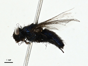  ( - BIOUG99522-E01)  @11 [ ] CreativeCommons - Attribution (2023) CBG Photography Group Centre for Biodiversity Genomics