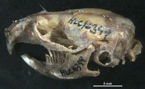  ( - HLC-16349)  @12 [ ] CreativeCommons - Attribution (2011) Centre for Biodiversity Genomics Centre for Biodiversity Genomics