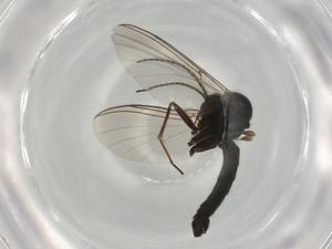  ( - BIOUG75685-E02)  @11 [ ] CreativeCommons - Attribution (2022) Centre for Biodiversity Genomics Centre for Biodiversity Genomics