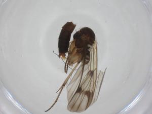  ( - CBG-A24772-D10)  @11 [ ] CreativeCommons - Attribution Share - Alike (2024) Centre for Biodiversity Genomics Centre for Biodiversity Genomics