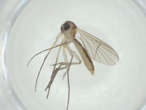  ( - CBG-A24774-C10)  @11 [ ] CreativeCommons - Attribution Share - Alike (2024) Centre for Biodiversity Genomics Centre for Biodiversity Genomics