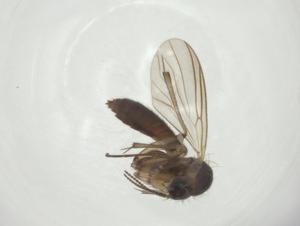  ( - CBG-A24777-A10)  @11 [ ] CreativeCommons - Attribution Share - Alike (2024) Centre for Biodiversity Genomics Centre for Biodiversity Genomics