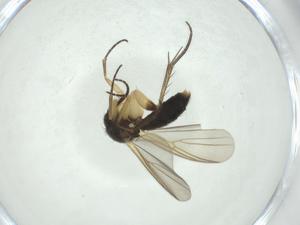  ( - CBG-A24783-F02)  @11 [ ] CreativeCommons - Attribution Share - Alike (2024) Centre for Biodiversity Genomics Centre for Biodiversity Genomics