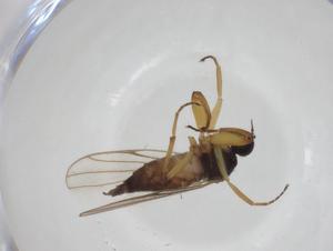  ( - CBG-A24784-E09)  @11 [ ] CreativeCommons - Attribution Share - Alike (2024) Centre for Biodiversity Genomics Centre for Biodiversity Genomics