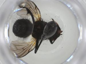  ( - CBG-A25840-G03)  @11 [ ] CreativeCommons - Attribution Share - Alike (2024) Centre for Biodiversity Genomics Centre for Biodiversity Genomics