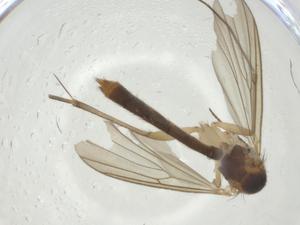  ( - CBG-A25846-G03)  @11 [ ] CreativeCommons - Attribution Share - Alike (2024) Centre for Biodiversity Genomics Centre for Biodiversity Genomics