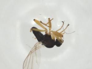  ( - CBG-A25855-D09)  @11 [ ] CreativeCommons - Attribution Share - Alike (2024) Centre for Biodiversity Genomics Centre for Biodiversity Genomics