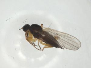  ( - CBG-A25855-E02)  @11 [ ] CreativeCommons - Attribution Share - Alike (2024) Centre for Biodiversity Genomics Centre for Biodiversity Genomics