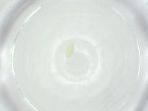  ( - CBG-A25873-G03)  @11 [ ] CreativeCommons - Attribution Share - Alike (2024) Centre for Biodiversity Genomics Centre for Biodiversity Genomics