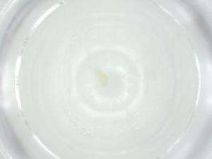  ( - CBG-A25873-G05)  @11 [ ] CreativeCommons - Attribution Share - Alike (2024) Centre for Biodiversity Genomics Centre for Biodiversity Genomics