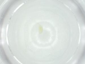  ( - CBG-A25873-G06)  @11 [ ] CreativeCommons - Attribution Share - Alike (2024) Centre for Biodiversity Genomics Centre for Biodiversity Genomics