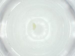  ( - CBG-A25873-G09)  @11 [ ] CreativeCommons - Attribution Share - Alike (2024) Centre for Biodiversity Genomics Centre for Biodiversity Genomics