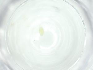  ( - CBG-A25873-H01)  @11 [ ] CreativeCommons - Attribution Share - Alike (2024) Centre for Biodiversity Genomics Centre for Biodiversity Genomics