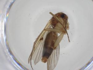  ( - CBG-A25875-E09)  @11 [ ] CreativeCommons - Attribution Share - Alike (2024) Centre for Biodiversity Genomics Centre for Biodiversity Genomics