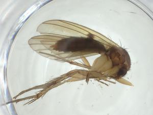  ( - CBG-A25876-A10)  @11 [ ] CreativeCommons - Attribution Share - Alike (2024) Centre for Biodiversity Genomics Centre for Biodiversity Genomics